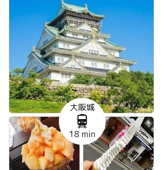 301,Open Sale,Residential Hotel Alex Osaka Daire